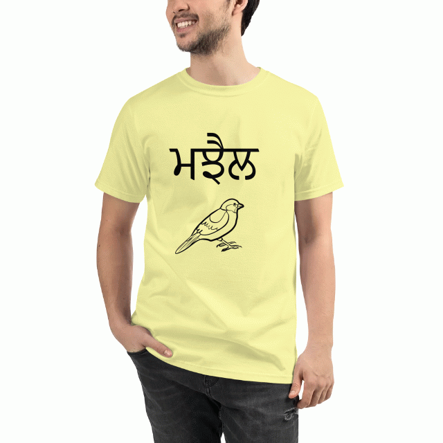 👉ਸ਼੍ਰੋਮਣੀ ਅਕਾਲੀ ਦਲ - ShareChat